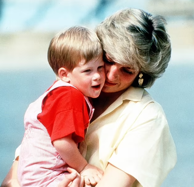 Принц Гарри попросил совета у брата принцессы Дианы: стоит ли ему взять фамилию Спенсер? Гарри меняет фамилию?