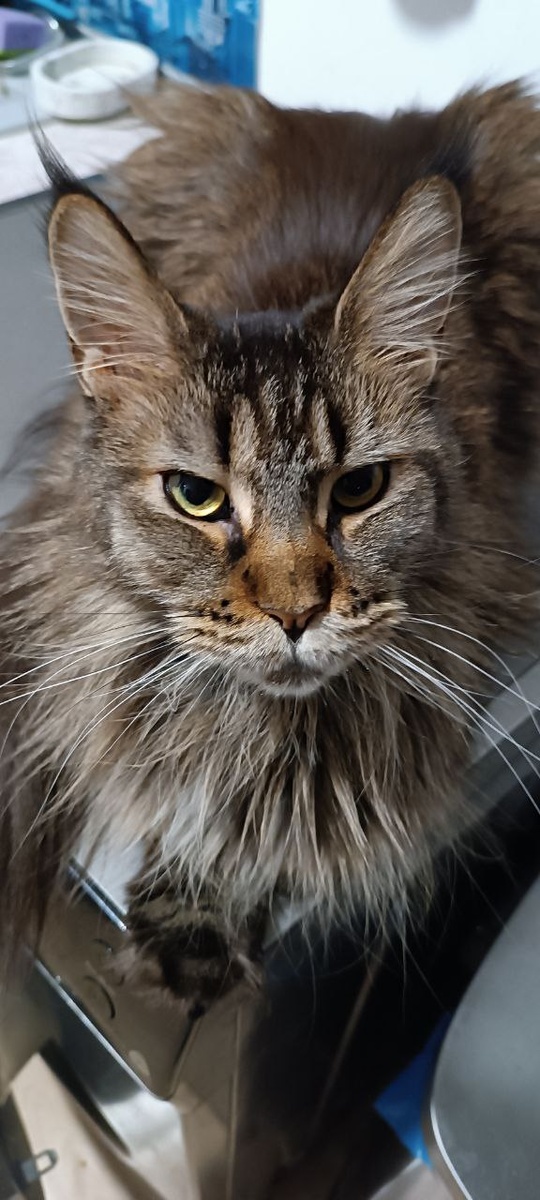 Это я, если вы вдруг забыть успели