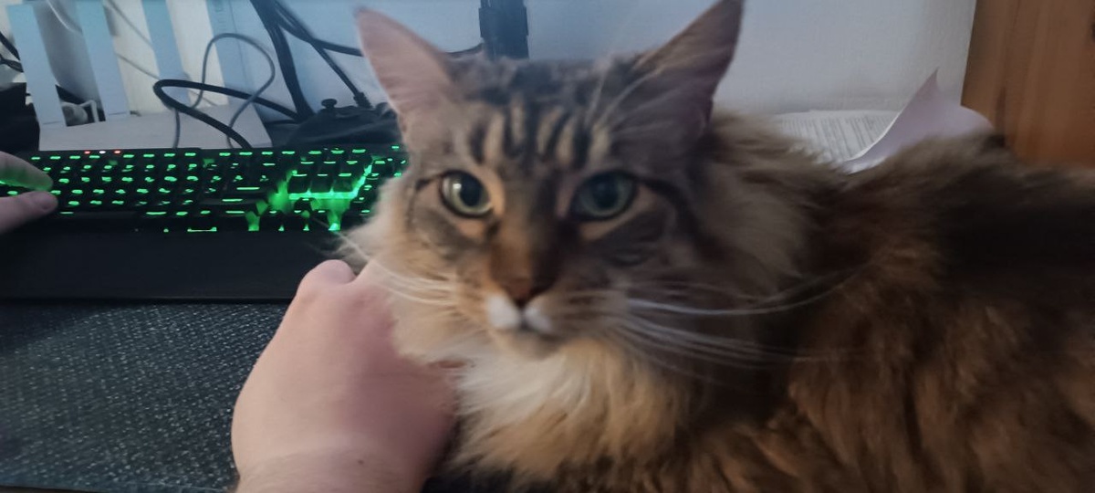 А это Туна Противновая, у Грозного сидит