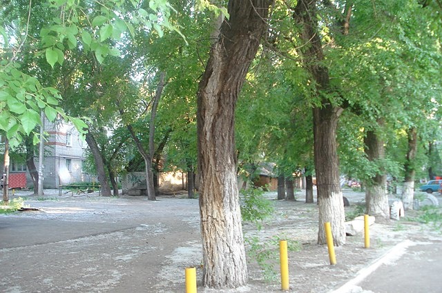    Фото с сайта wikimedia.org Ольга Чистова