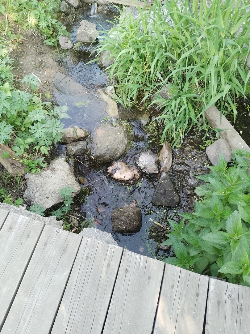 Ручей из пруда. 