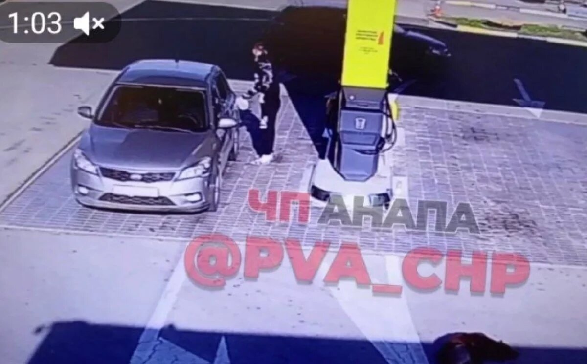    На автозаправке в Анапе водитель наехал на спящую собаку