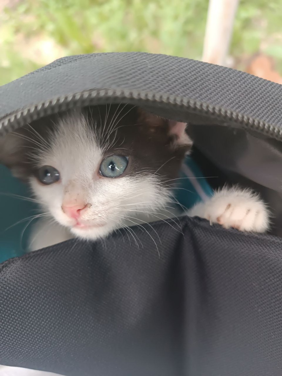 Парень боевой