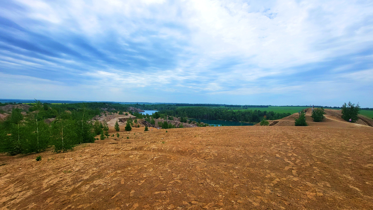 Глинистая почва вперемежку с углем.