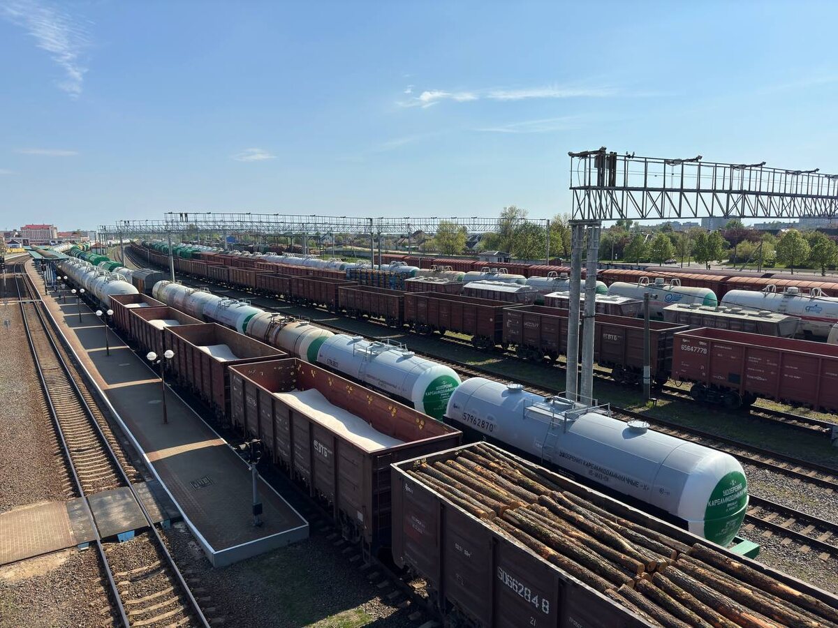 Грузовые вагоны в Беларуси. Источник: Алексей Столчнев/ROLLINGSTOCK