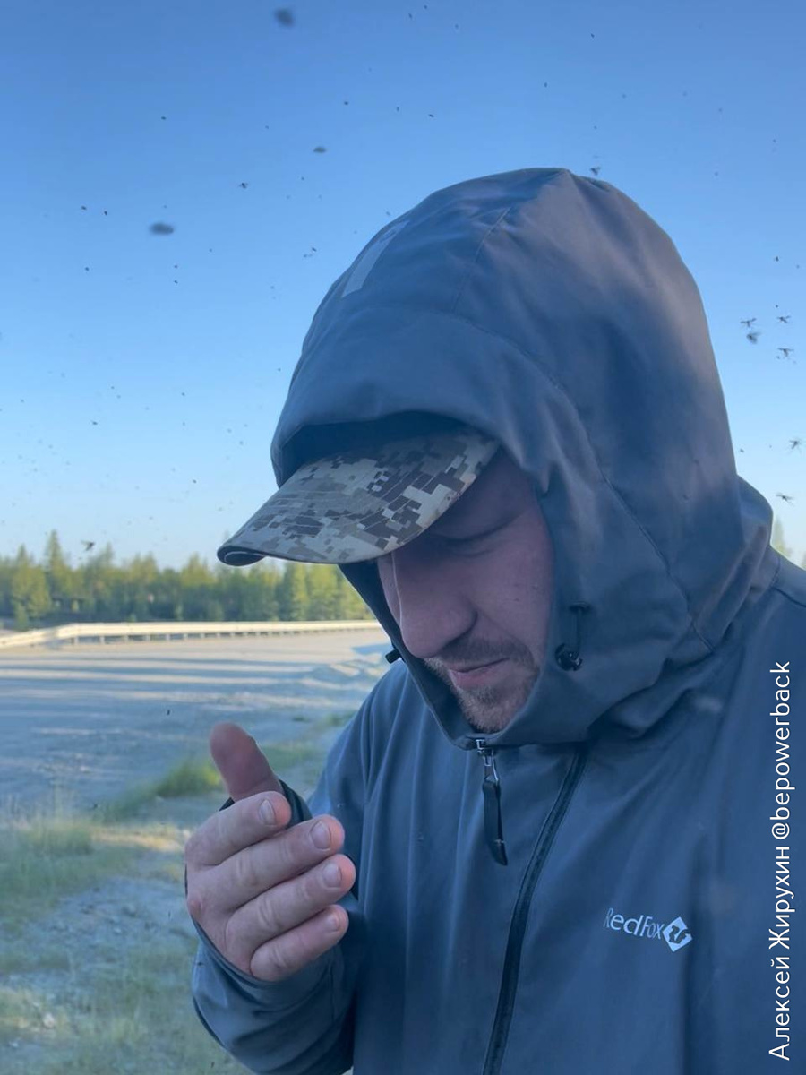 Когда мошка решает, кто здесь главный