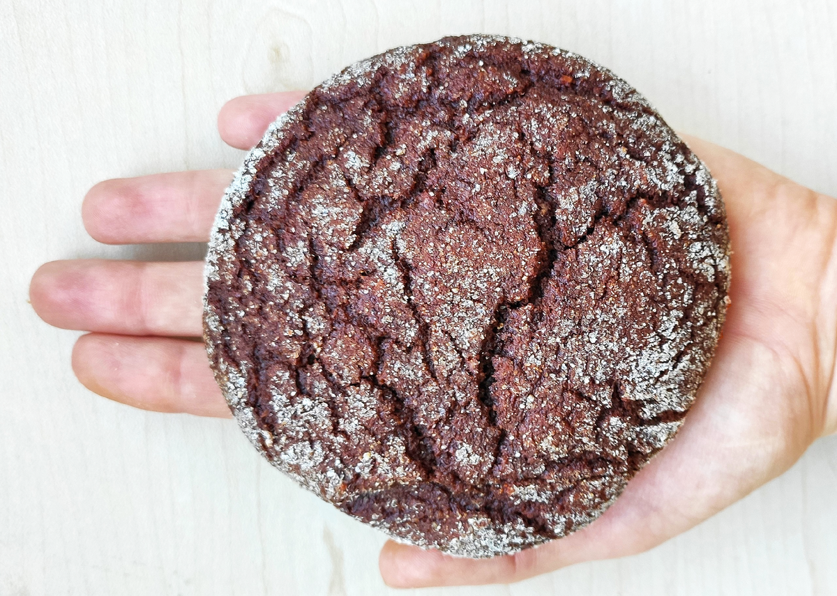 НИЗКОУГЛЕВОДНОЕ ШОКОЛАДНОЕ ПП ПЕЧЕНЬЕ Без сахара, лактозы и глютена