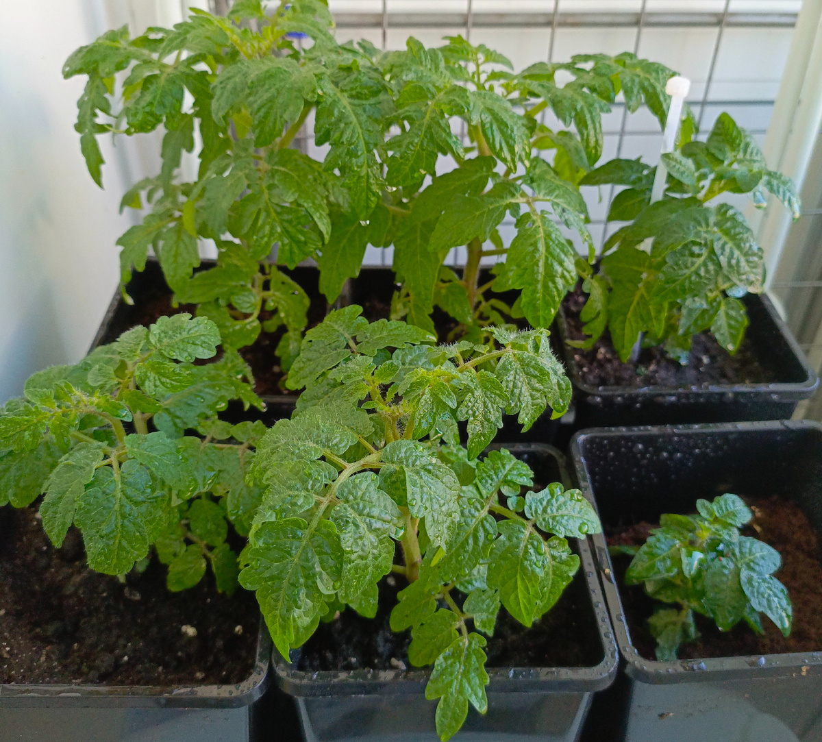 Мое фото  на конец мая