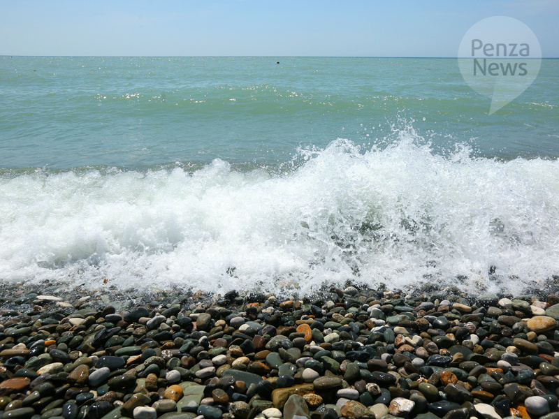    © Фото из архива ИА «PenzaNews»