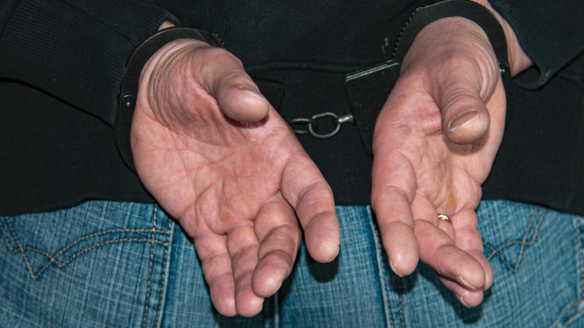    Фото: Svetlana Vozmilova/globallookpress.com