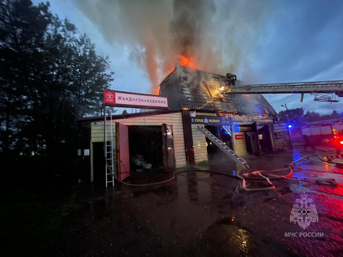    Фото: МЧС Красноярского края