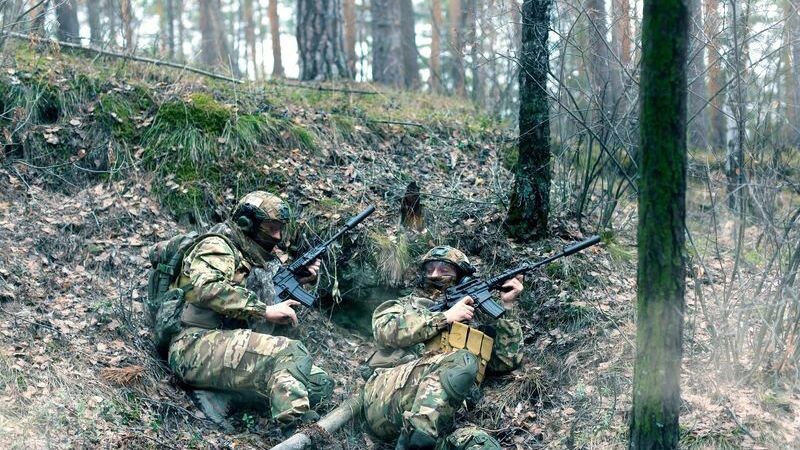    Фото: Green Elk/Shutterstock/Fotodom