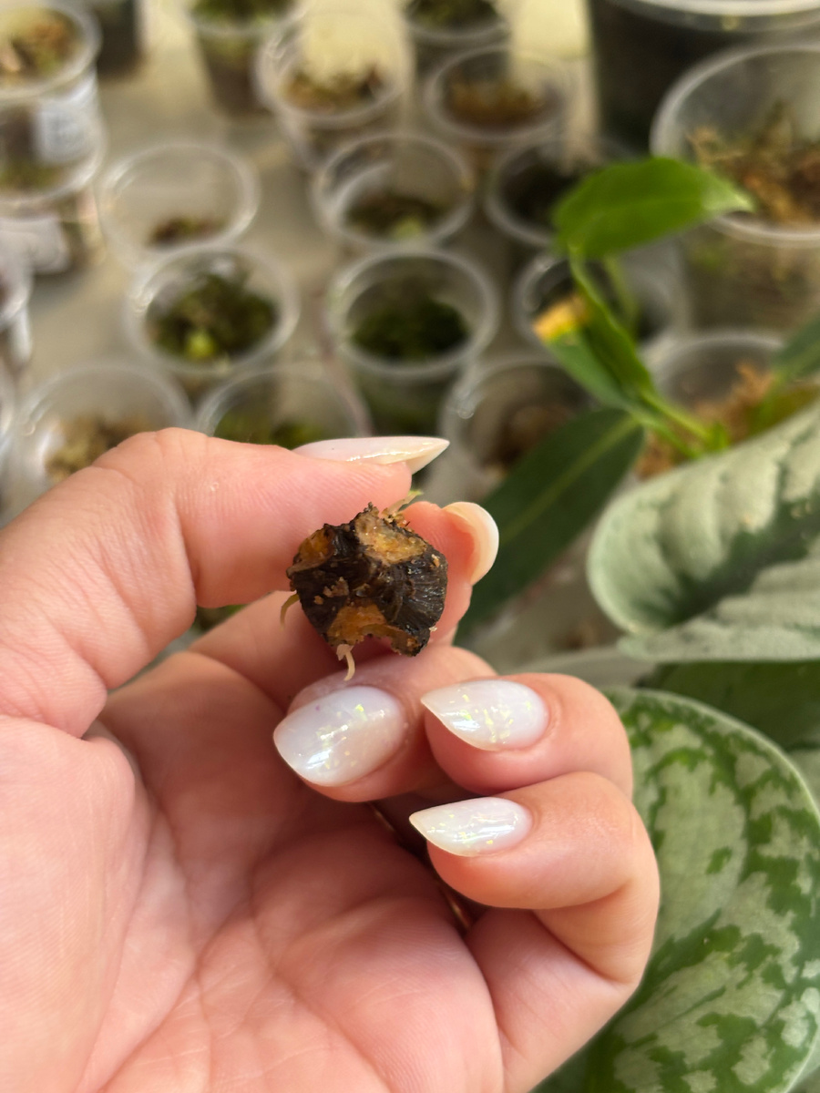 Но его вид не вселяет надежды…