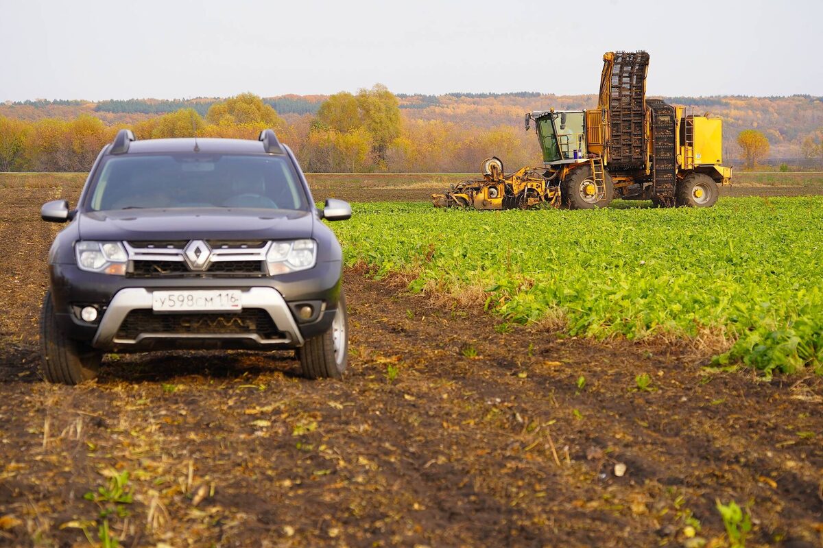 Фото: © «Татар-информ»