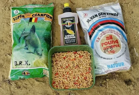 Фото с сайта: https://avatars.dzeninfra.ru