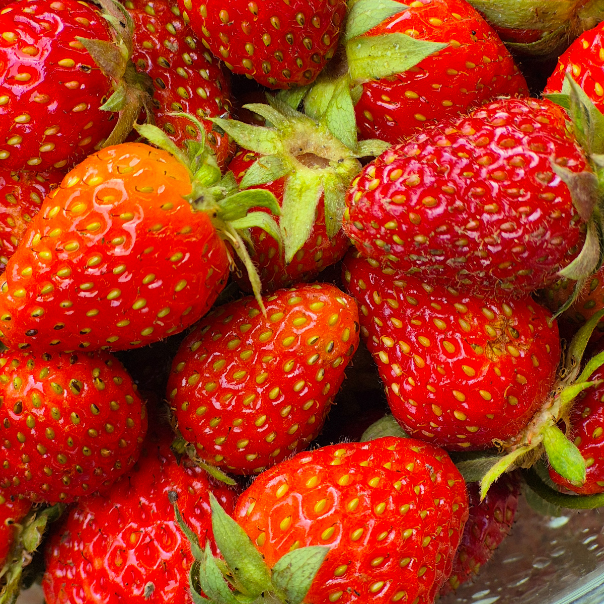 Наша клубника.