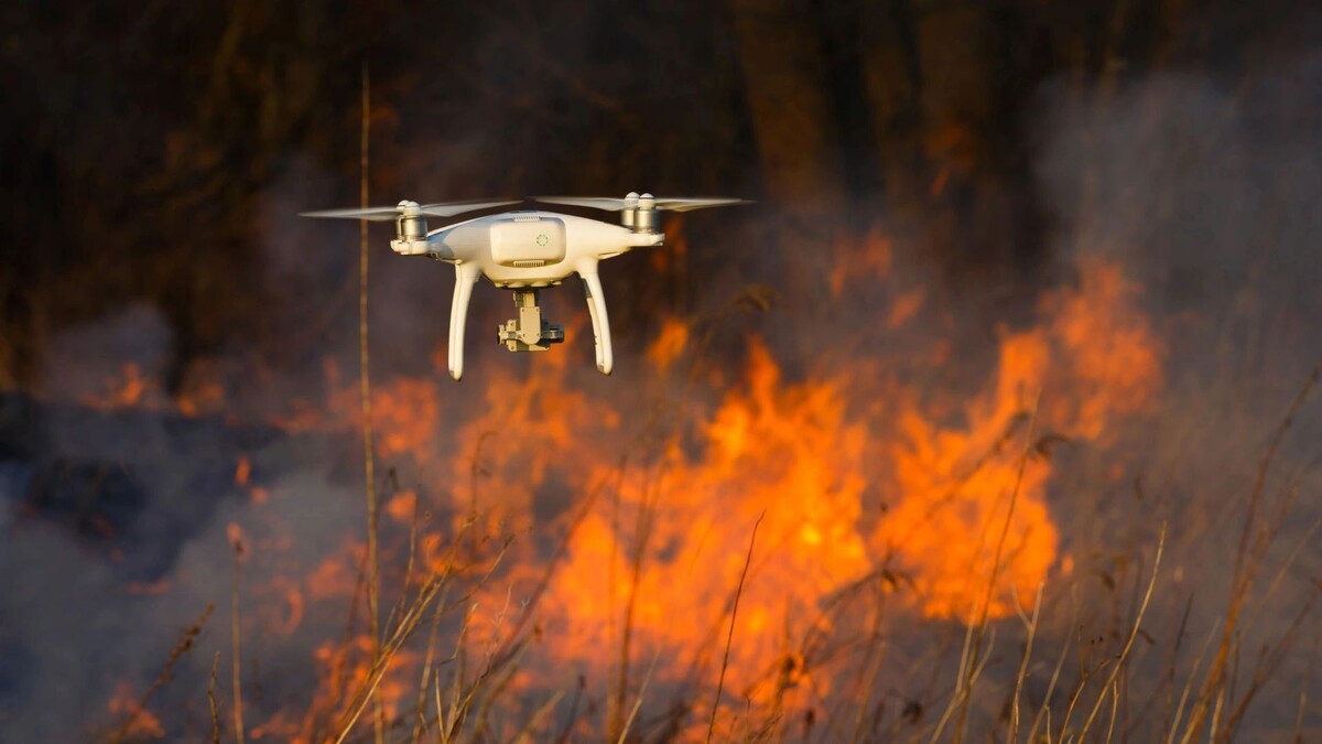    Фото: Konstantin Tronin/Shutterstock/Fotodom