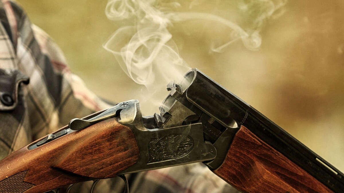    Фото: SVshot/Shutterstock/Fotodom