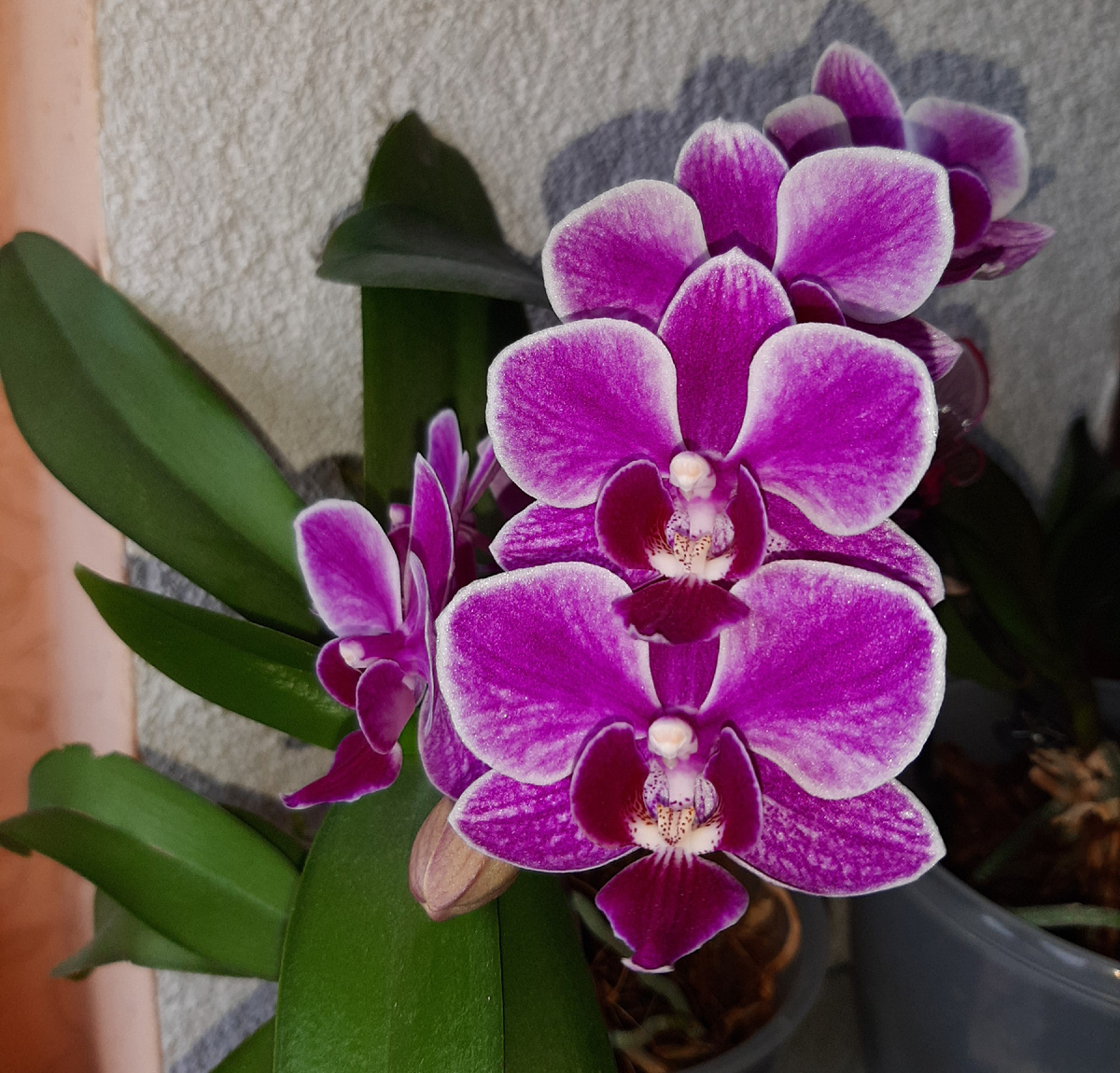 Обложка статьи. Архивное фото