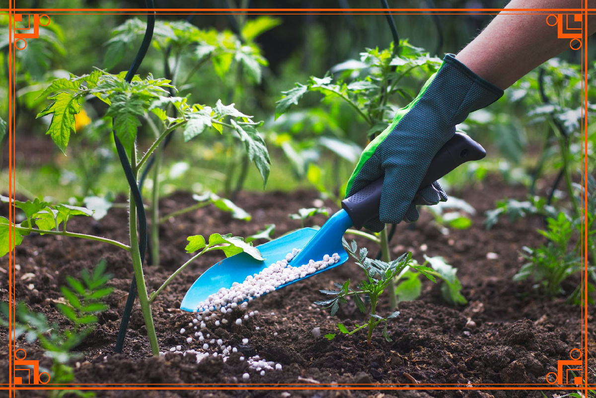 Фото из Интернета. удобрения для внекорневой подкормки растений