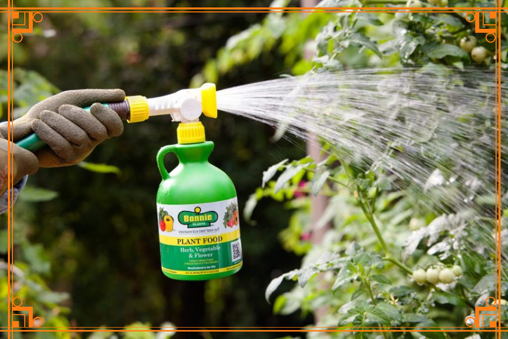 Фото из Интернета, какие подкормки нужны растениям