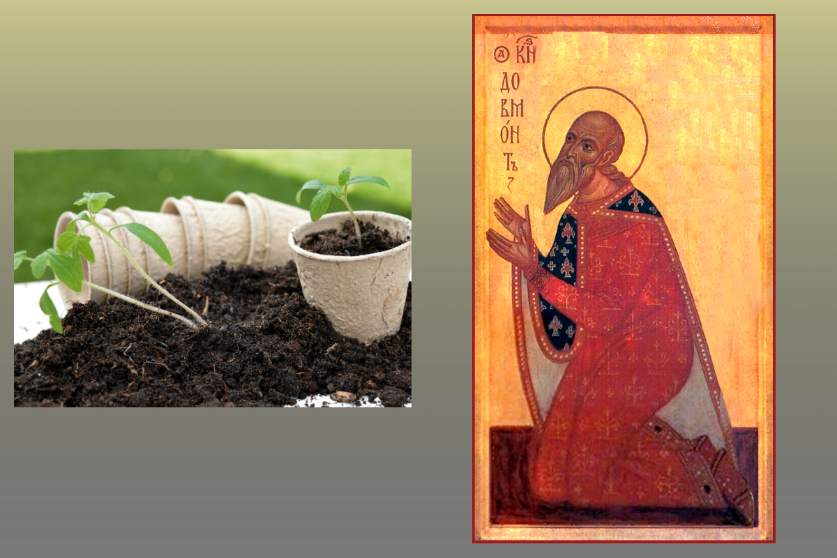 Икона Блгв. князь Довмонт (Тимофей) Псковский/azbuka.ru, рассада/pixabay.com