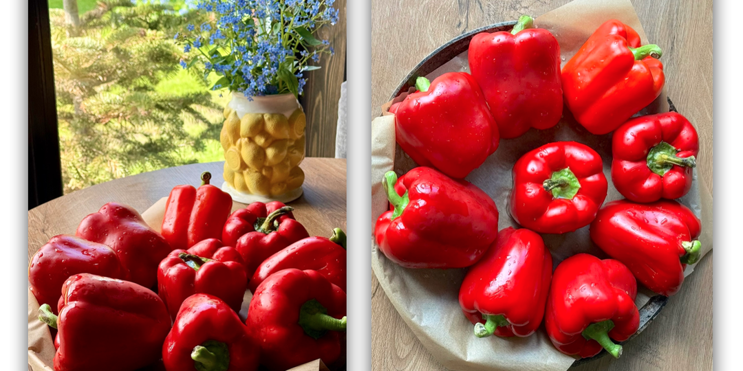 Лето в каждом кусочке: как я запекаю перец для рулетов и закусок