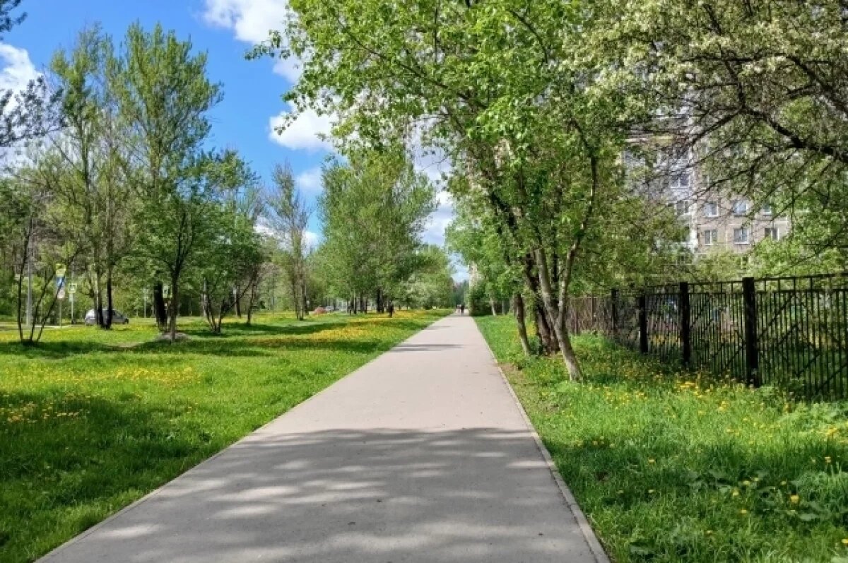    2 июня в Прикамье ожидается аномальная жара с ливнями, грозами и градом