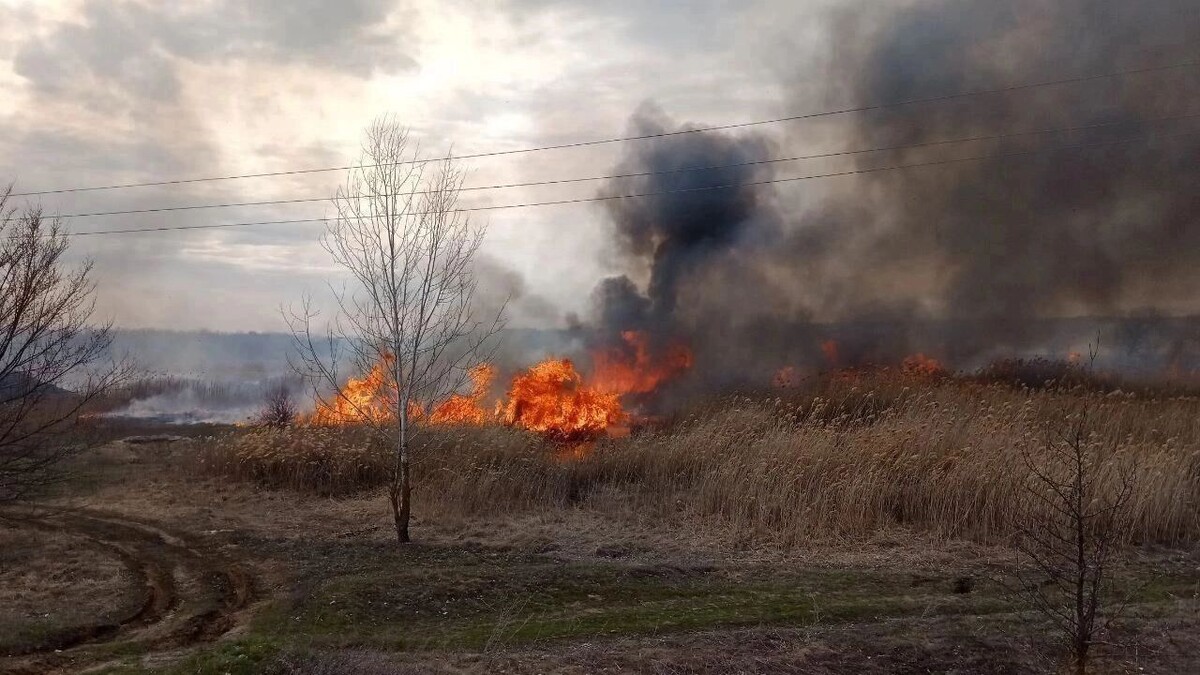     Источник: 1MI