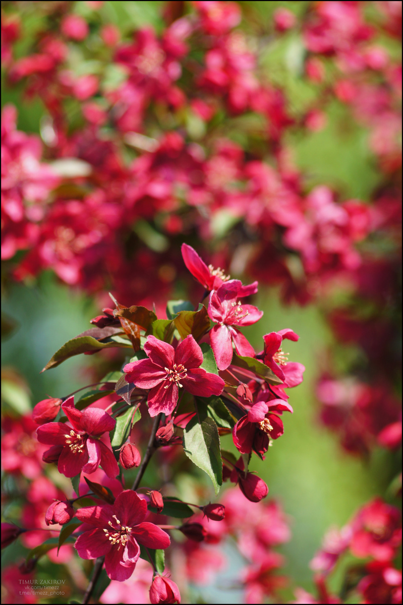 Здесь 2 фотографии, листайте >>>