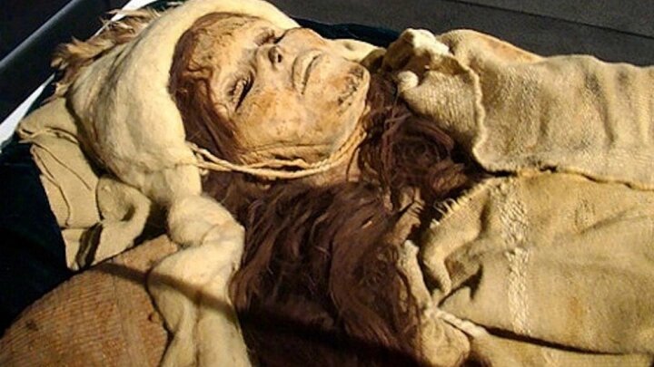    Фото: Wikipedia.org