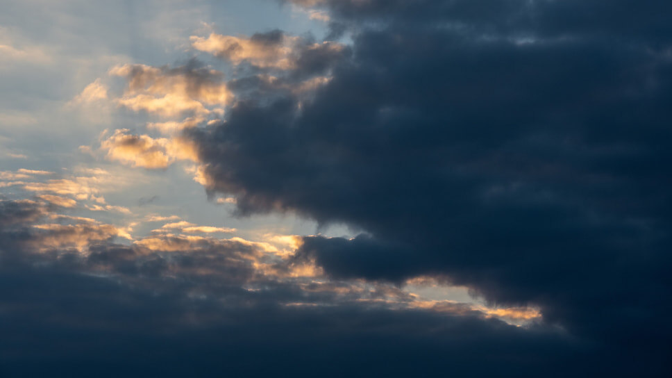 Фото: Игорь Елисеев / Коммерсантъ