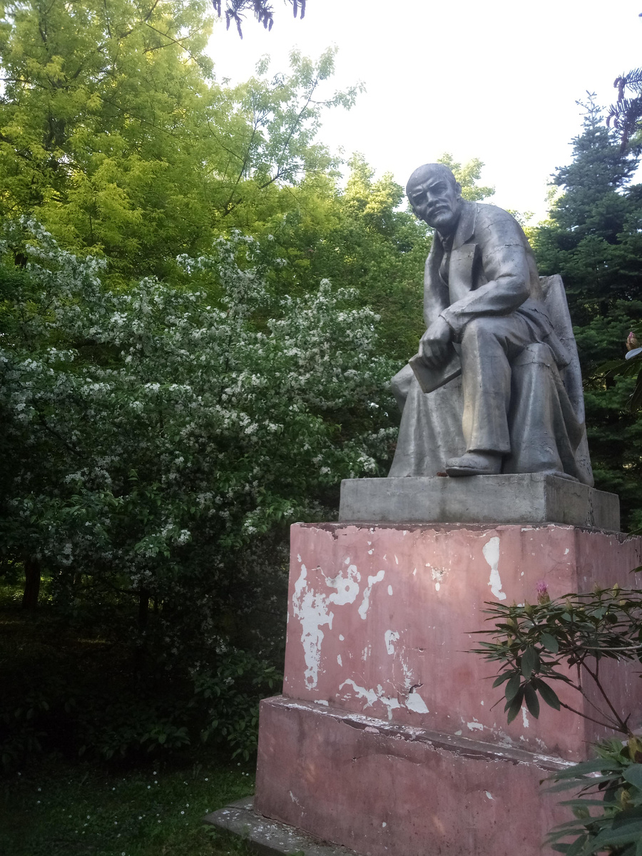 Ильич прячется в кустах