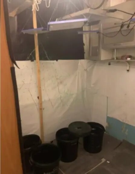    Фото: скриншот видео ГУ МВД России по Петербургу и Ленобласти