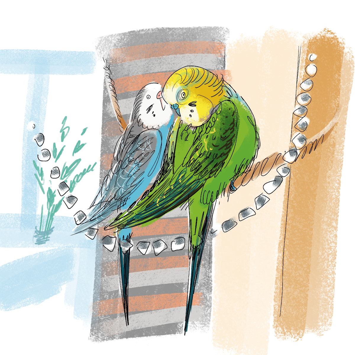 Я сегодня стала причиной скандала у попугаев.

Как-то все не успевала в последние дни купить попугаям новый корм, с тоской смотрела, как уменьшается его количество в банке, и каждый день думала, что завтра схожу и куплю. Думаю, попугаи тоже с волнением налюдали за опустошением их банки, а день, когда она опустела полностью, стал для них очень тревожным.

И вот настало утро следующего дня, а в банке корм не появился. Я пила кофе и собиралась идти в магазин. В это время Шуша проинспектировала обе кормушки и учинила Кузе скандал рядом с одной из них.

Вероятно, когда Шуша снизошла до сожительства с Кузей, она в том числе повелась на обещания безбедного существования и посулы щедрой кормежки каждый день. В общем, Кузя явно соблазнил ее заверениями, что с ним то уж она точно голодать не будет. И хотя у Шуши выбора все равно не было, она, вероятно, считала, что сыграла неплохую партию.

А тут происходит ужасное: она заглядывает в одну миску, потом во вторую - и еды нигде нет. И еды нет уже целое утро. С безграничным возмущением Шуша стояла на краю миски и яростно вопрошала у Кузи, где обещанная еда. Кузя что-то вяло щебетал в свое оправдание и смущенно косился на пустую миску, может быть надеясь, что еда там волшебным образом появится. Но еда не появлялась.

Не выдержав драматизма ситуации, я побежала спасать кузину честь, и через полчаса его репутация была восстановлена.
Потом они сидели полдня на вновь облюбованном месте - на веревочке, и дремали под музыку из колонки, которая стояла под ними. Наверное, музыкальные вибрации приятно щекотали им животы.