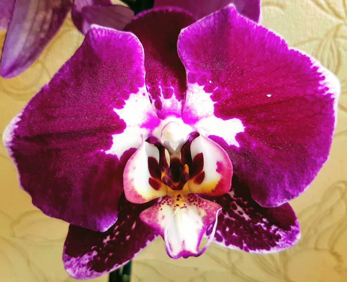 Обложка статьи. Архивное фото