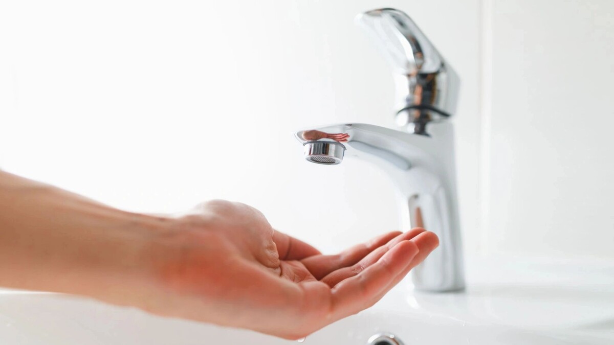    Фото: nikkytok/Shutterstock/Fotodom