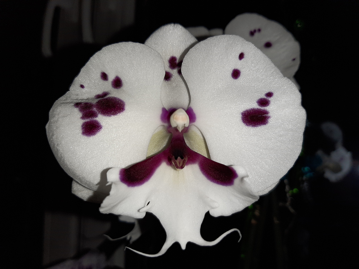 Обложка статьи архивное фото 