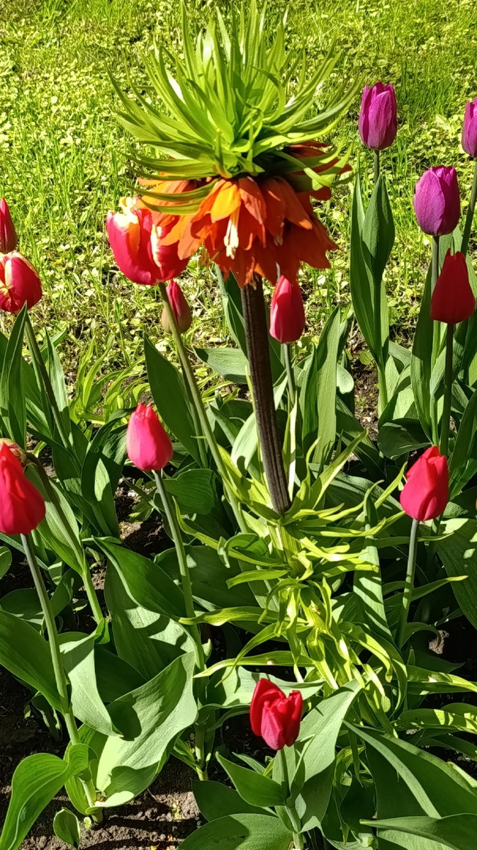 Красота нас спасает от прозы жизни..