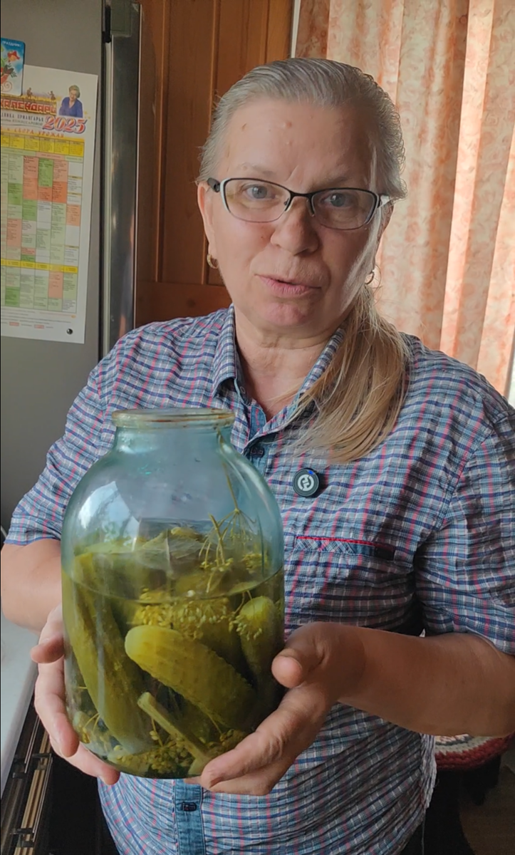 Огурцы, засола 2023 года.