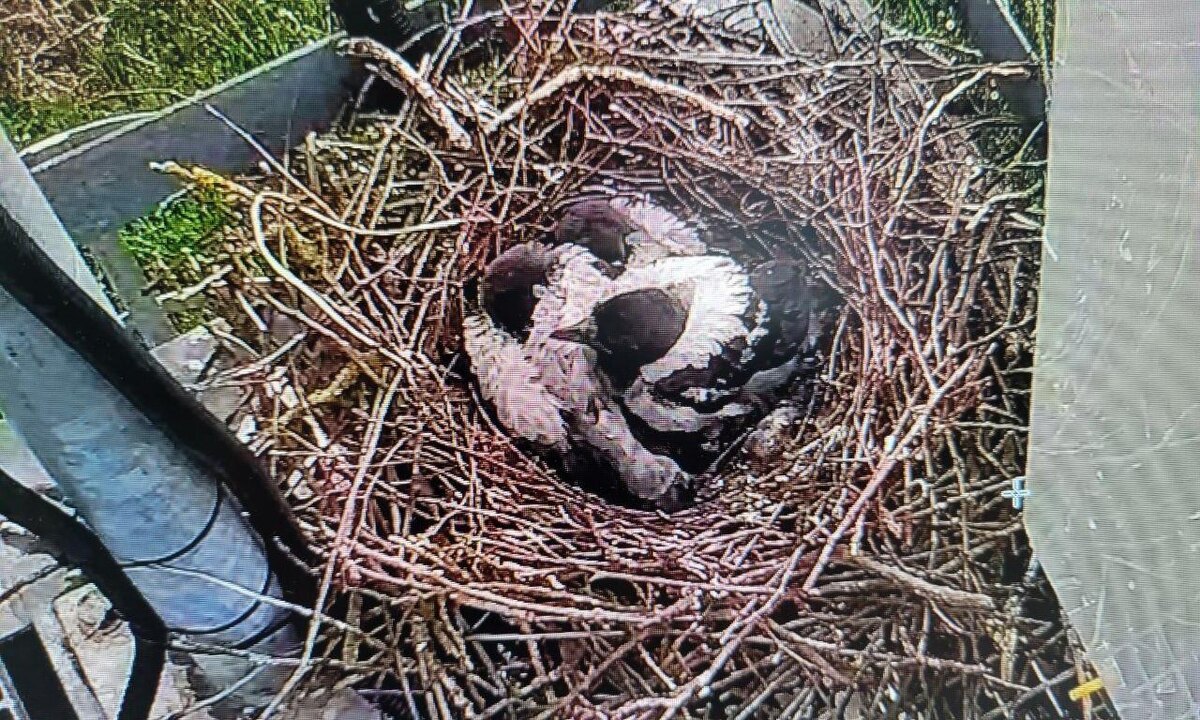    Фото: пресс-служба ФКУ Упрдор «Северо-Запад»