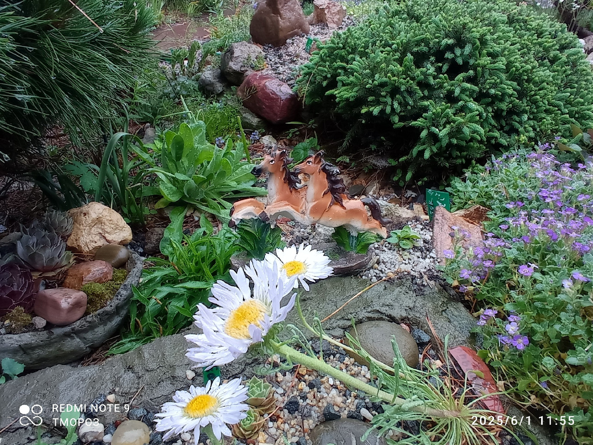 игрушки мои везде