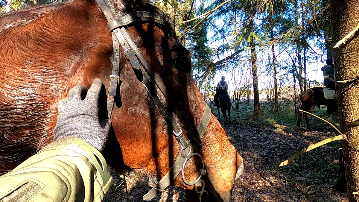 Лошадка это вам не человек, к ней "ключик" надо. 2025 год, 8 марта, фото автора