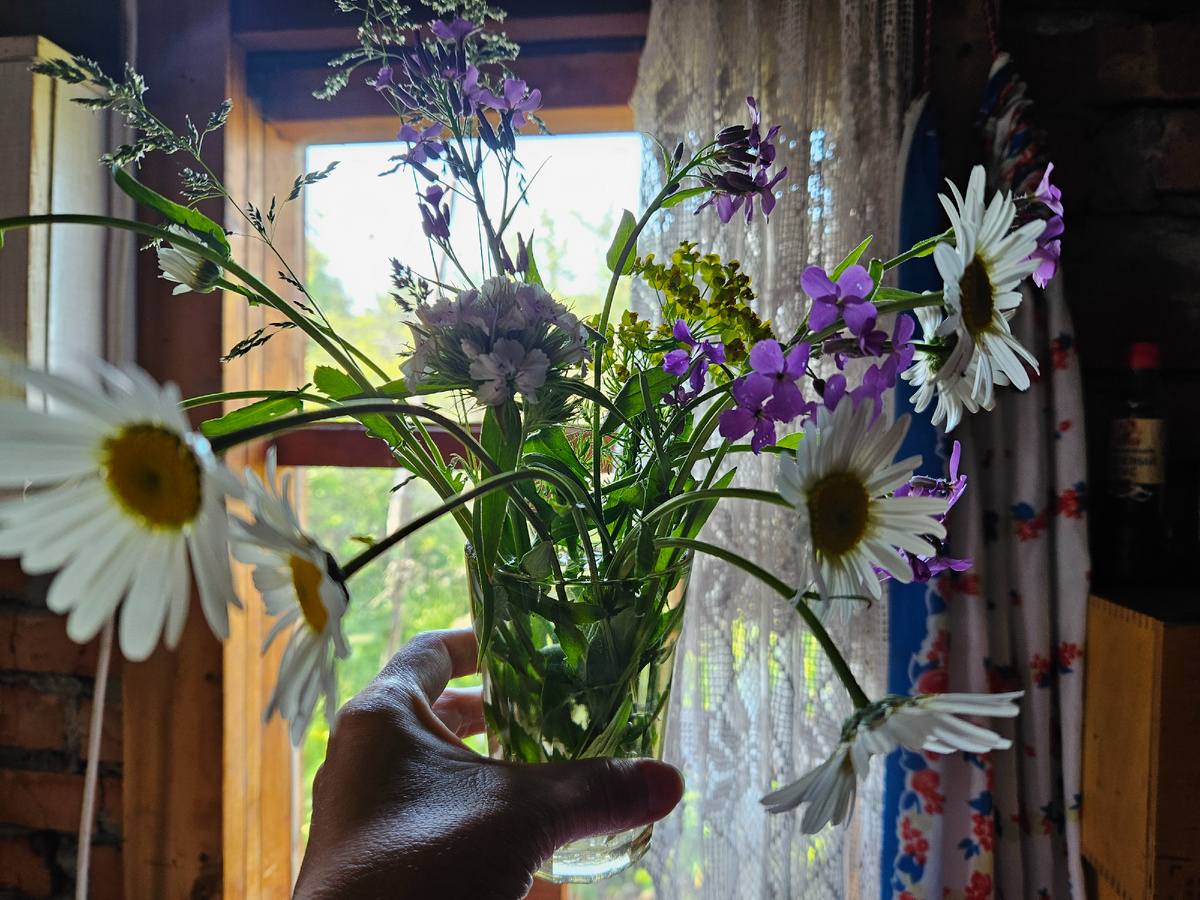 Утро на даче: май, весна. Фото: Марина Н. Макарова.