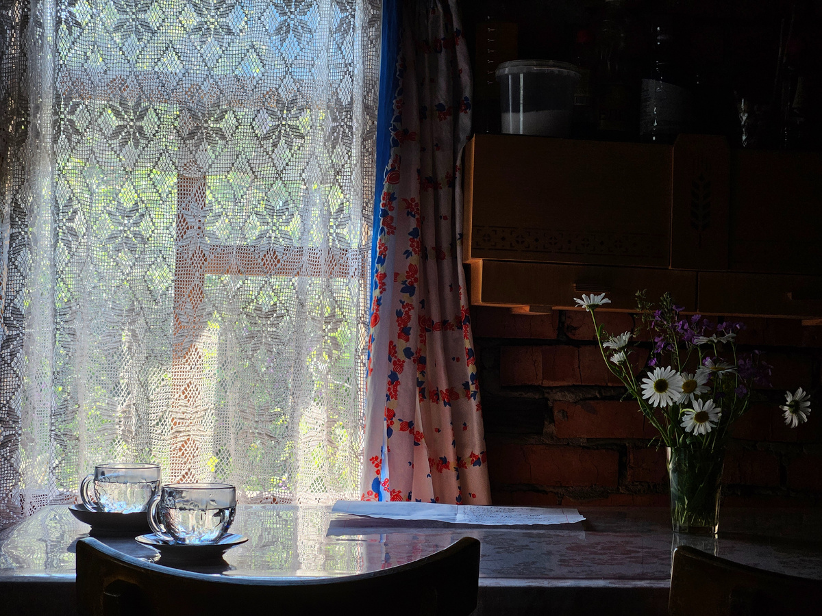 Утро на даче: июнь, лето. Фото: Марина Н. Макарова.