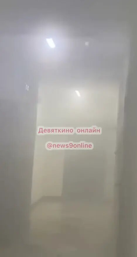    Фото: стоп-кадр видео из телеграм-канала «Девяткино online | Мурино»