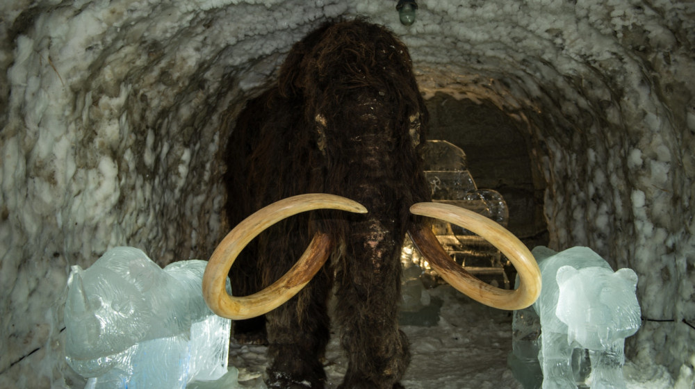    Замёрзшие во времени ТАЙНЫ вечной мерзлоты раскрыты