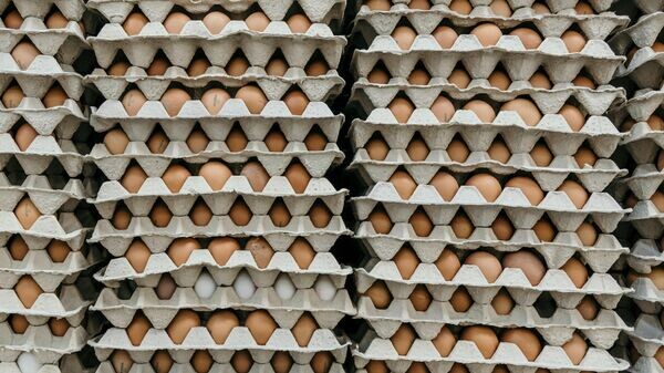    © Photo : Unsplash / Marjan Blan