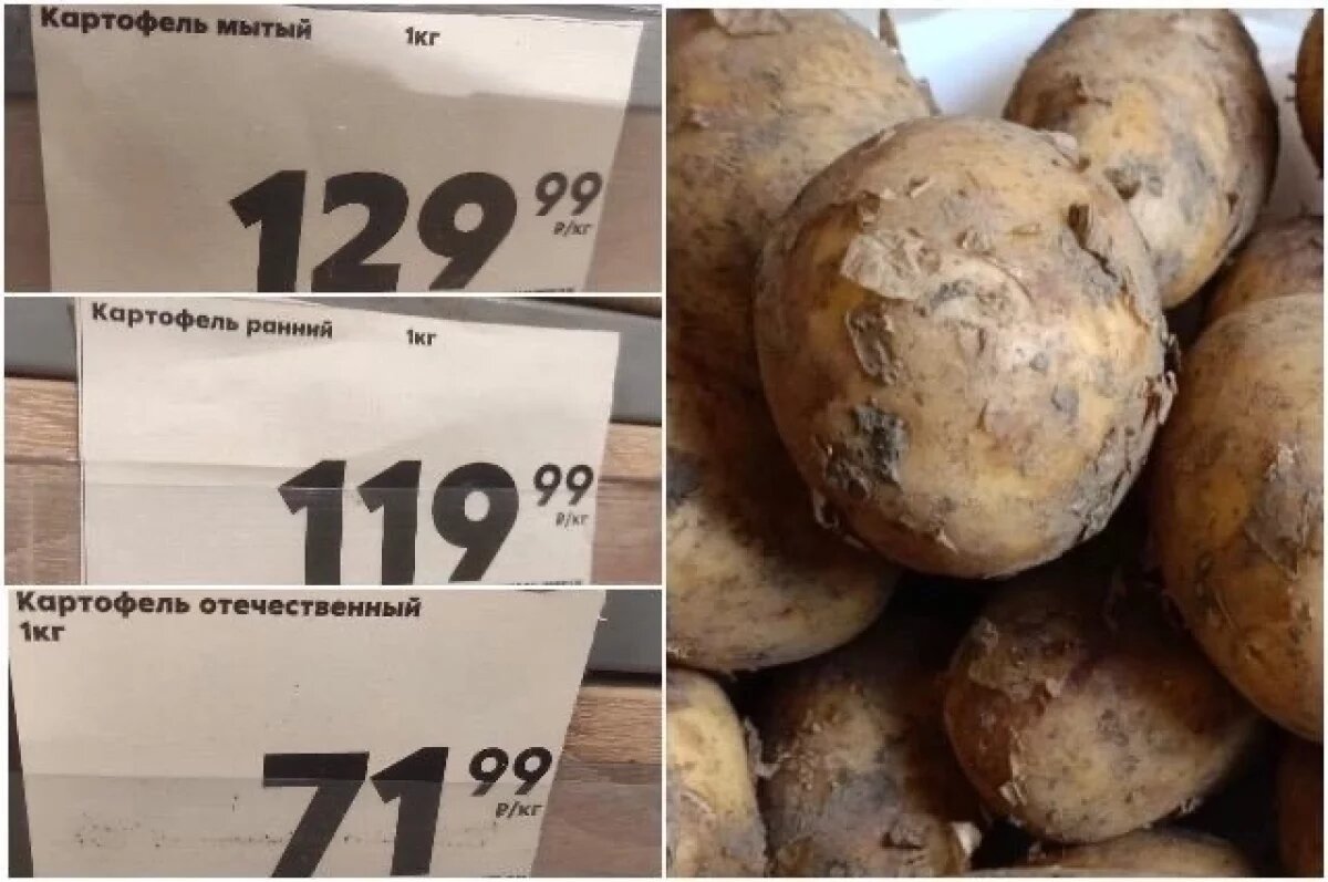    Разброс цен на картофель в тульском универсаме одной из торговых сетей.