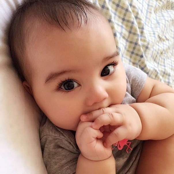 Фотография использована в иллюстрационных целях и взята из открытого доступа Яндекс-фото